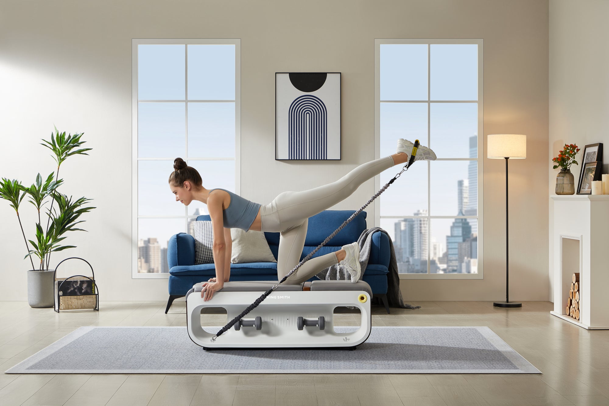 B1 Banc De Musculation Multifonction