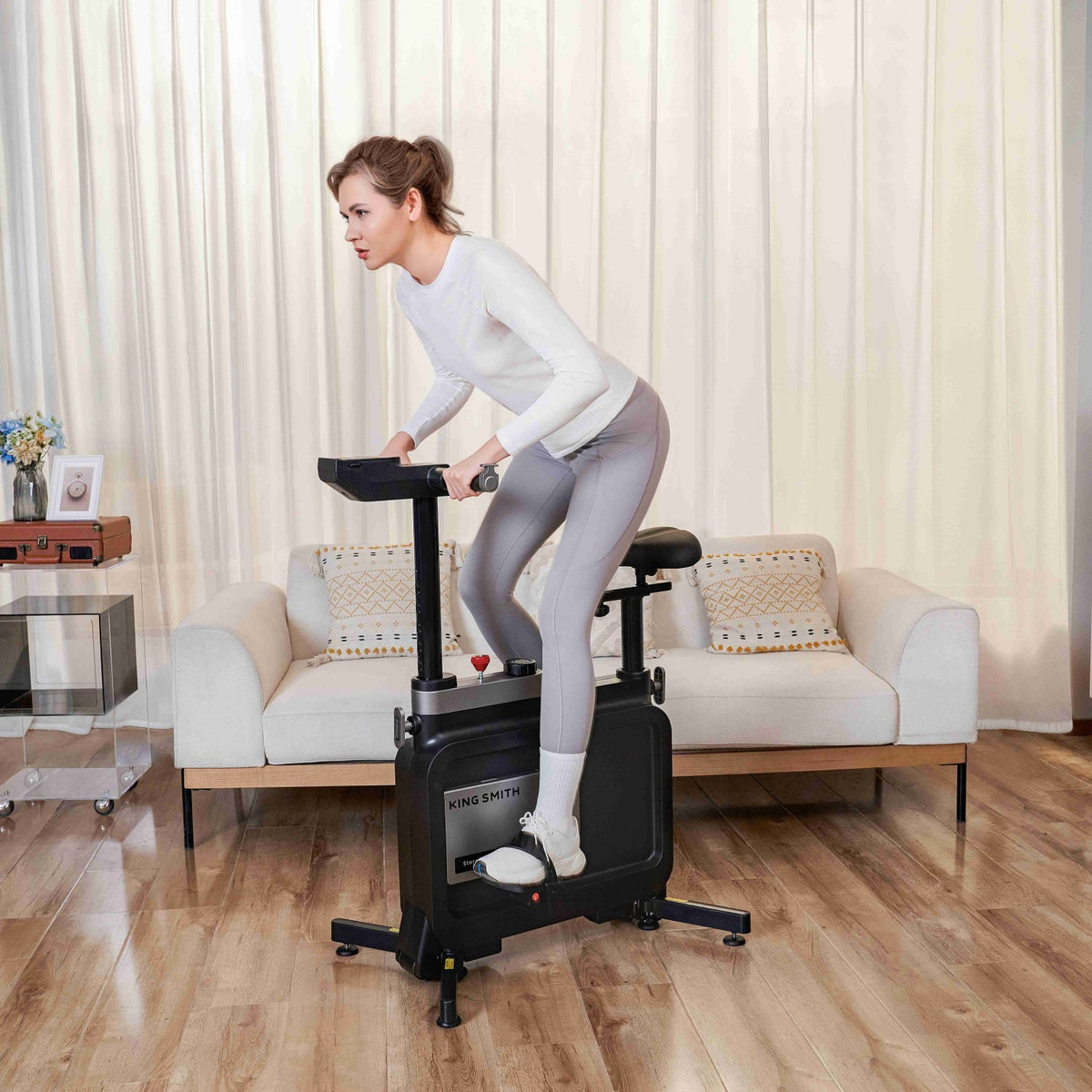 KingSmith W1B Vélo d'appartement Pliable